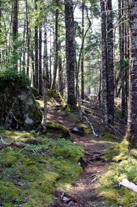 trail.jpg