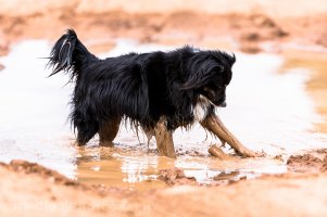 We named him Mud.jpg