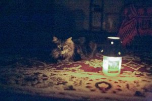 ISO 102400 Color NR 25.jpg