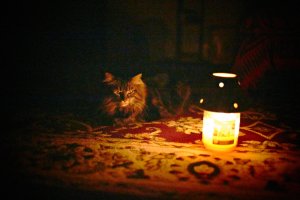 Primary 1-1000sec .jpg