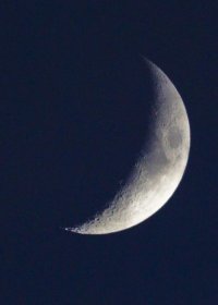 moon. cropped, 300mm.jpg