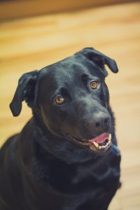 011 - February 25, 2012 -_.jpg