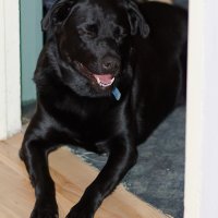 001 - April 30, 2012 - Stuart Comerford.jpg