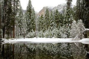 YosemiteMirror.jpg
