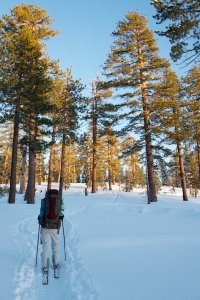 IMG_0235 - Version 2.jpg