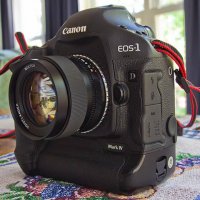 Canon 1D Mk IV, crop, 1288, small web version.jpg