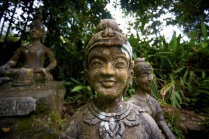 Magic Garden (wide).jpg