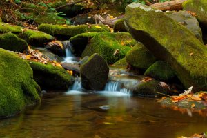 IMG_8918 - Copy copy.jpg