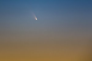 comet panstarrs 1959 130312-01.jpg