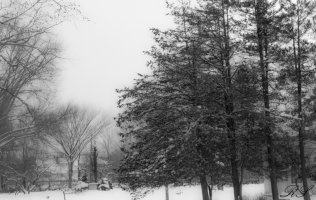 Sentinel  series 5c.jpg