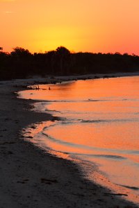 Sunrise Beach.jpg