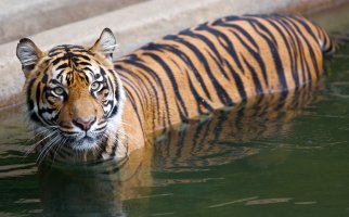 9Z9C2070 - Version 2-XL.jpg