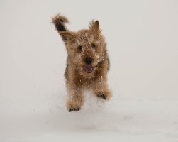 20130227-2Z7A6408.jpg