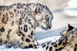 2013-03-13 um 12-26-45-1-2.jpg