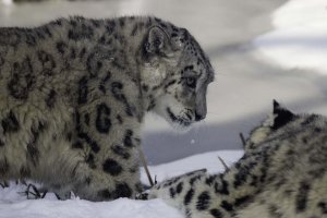 2013-03-13 um 12-26-45_2.jpg