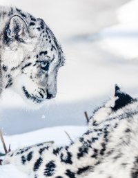 2013-03-13 um 12-26-45-2.jpg