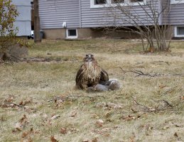 IMG_1389 - Version 2.jpg