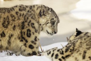 2013-03-13 um 12-26-45.jpg