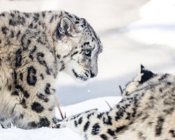 2013-03-13 um 12-26-45.jpg