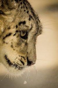 20130313-2013-03-13 um 12-26-45.jpg