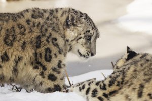 2013-03-13 um 12-26-45.jpg