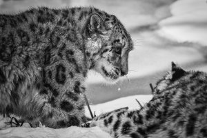 2013-03-13 um 12-26-45-Edit.jpg