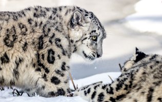 2013-03-13 um 12-26-45.jpg