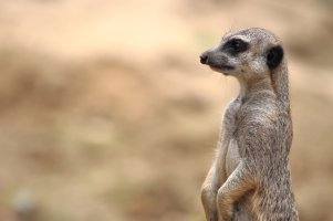 2012-08-14 um 16-19-44 (1).JPG