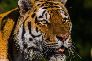 2012-09-16 um 16-44-25.jpg