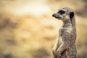 2012-08-14 um 16-19-44 (1).jpg