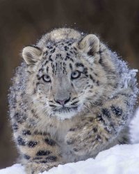 2012-12-08 um 14-05-55 copy copy.jpg