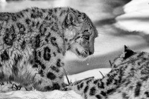 2013-03-13 um 12-26-45.jpg