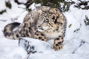 2012-12-08 um 14-07-56-2.jpg