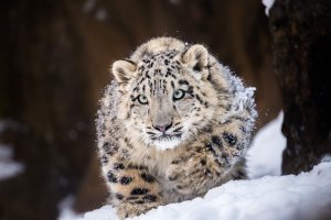 2012-12-08 um 14-05-55.jpg