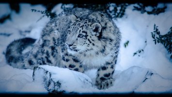 2012-12-08 um 14-07-56.jpg