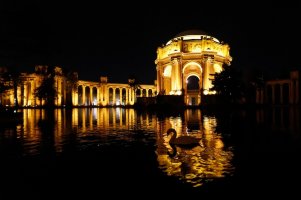 Swan at the Palace.jpg