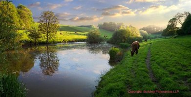 Givendale final 4 SF.jpg