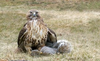 IMG_1389 - Version 3.jpg