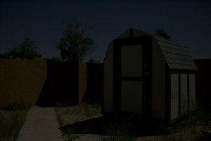 _06C2344 as shot.jpg