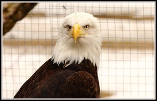 New Zoo Apr 2013-13.JPG