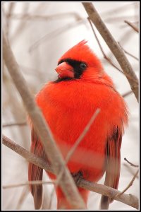 New Zoo Apr 2013-22.JPG