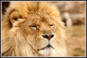 New Zoo Apr 2013-35.JPG