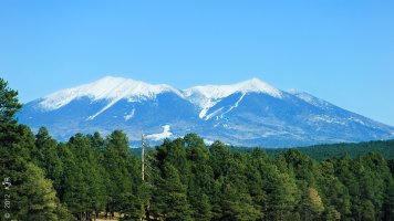 Arizona High Country-6003a.JPG