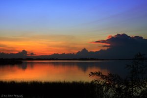 Gilbert Park-1309-2.JPG