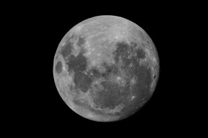 5D3_5226 - Moon Balwyn Darker.jpg