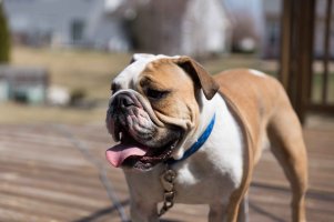 charlie spring 44 (1 of 1).jpg