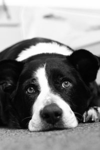 March 27, 2013 (2).jpg