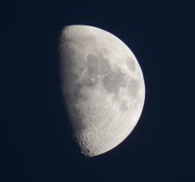 SX50.jpg