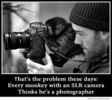 images.jpg