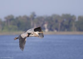 In Flight-0777-2.JPG